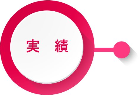 実績